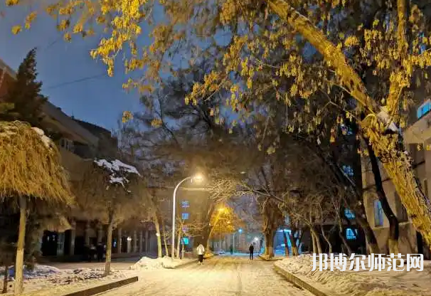 新疆大學師范學院南校區2023年有哪些專業