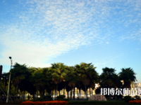 長江大學文理學院2023年有哪些專業