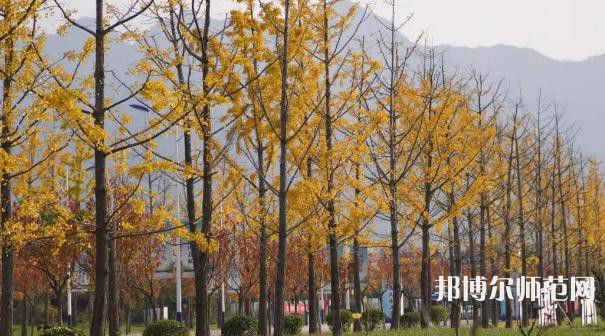 西安城市建設師范職業學院歷年招生錄取分數線