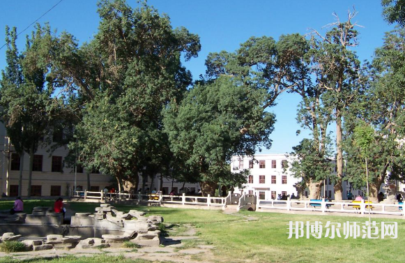 喀什師范大學東城校區2023年有哪些專業