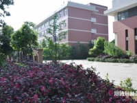 邛崍幼師職業教育中心2023年招生計劃