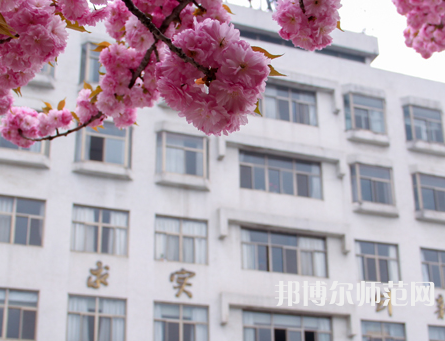 淮陰師范學(xué)院2023年報(bào)名條件、招生要求、招生對象