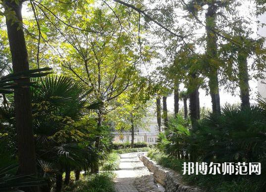 西北大學(xué)師范學(xué)院桃園校區(qū)2023年怎么樣、好不好