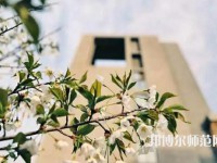 西安工商師范學(xué)院2023年招生計劃