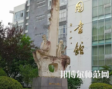 四川職業技術師范學院2023年招生代碼