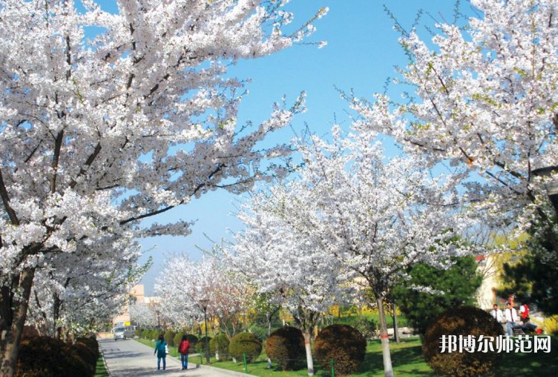 西安思源師范學院歷年招生錄取分數線
