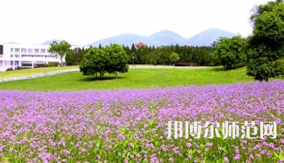 2023年重慶師范大學廣播電視編導專業介紹