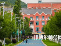 2023年貴陽幼兒師范高等?？茖W校舞蹈表演專業介紹