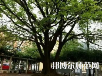 2023年興義民族師范學院電子科學與技術專業介紹